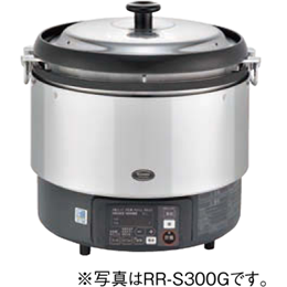 RR-S300G